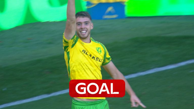 norwich goal