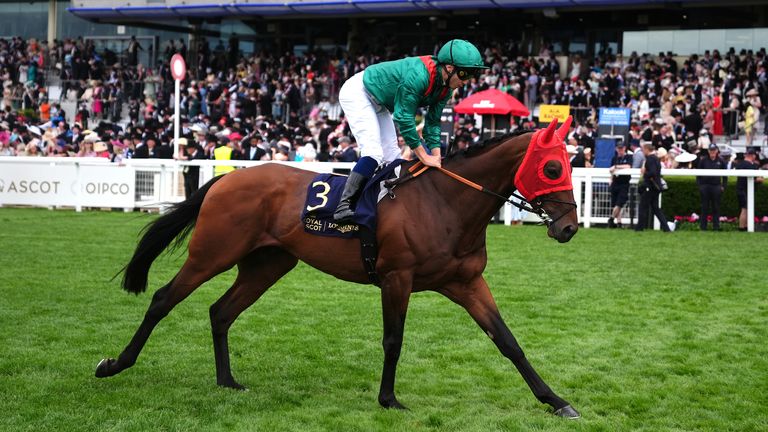 Daryz returns on Arc Trials Day