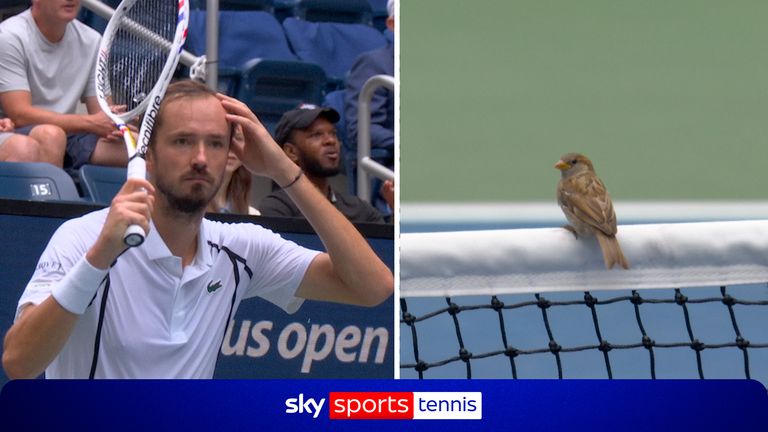 Much to the frustration of Daniil Medvedev, the umpire calls a let due to the presence of two sparrows on the net cord at the US Open!