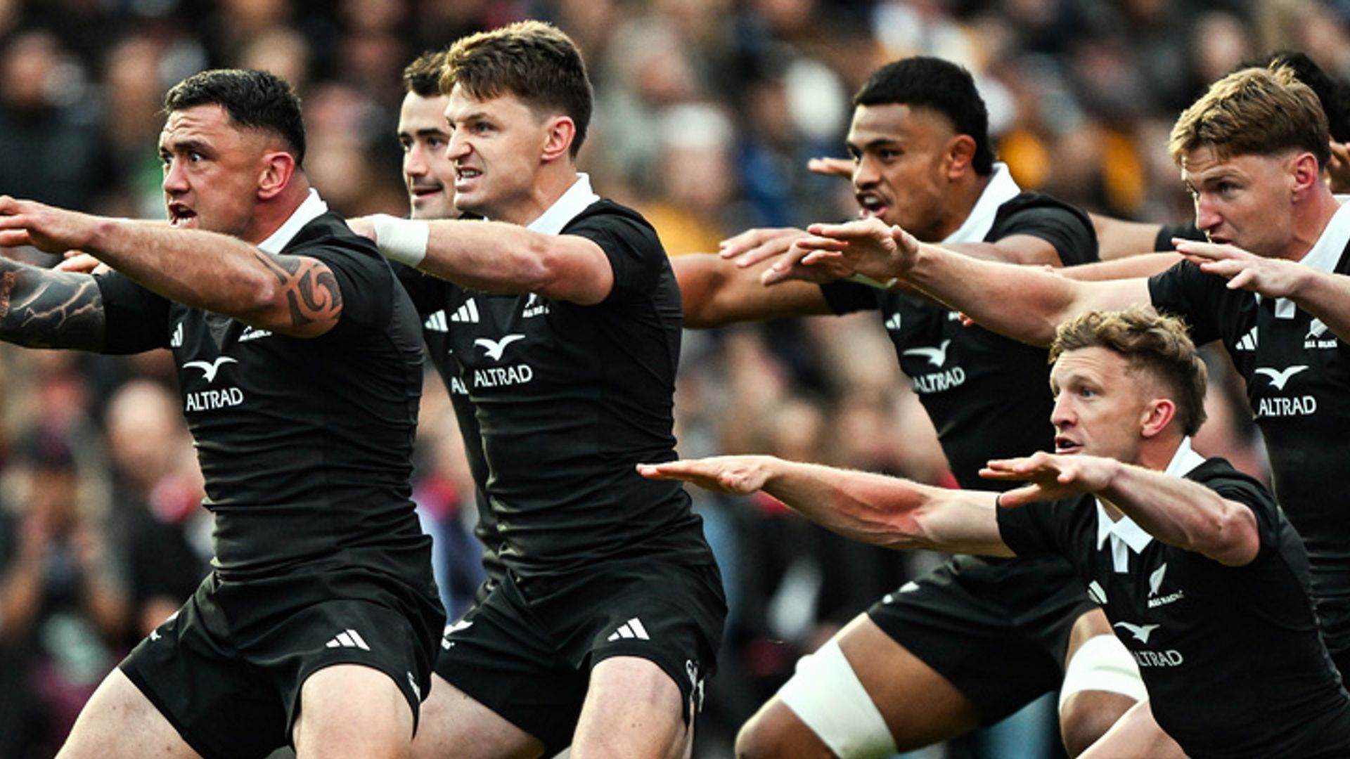 New Zealand vs Australia LIVE! All Blacks hit back to lead vs Wallabies