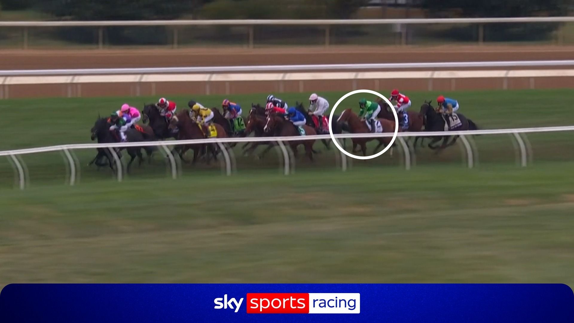 Ryan Moore at his brilliant best! Benvenuto Cellini soars to Breeders' Cup Turf win