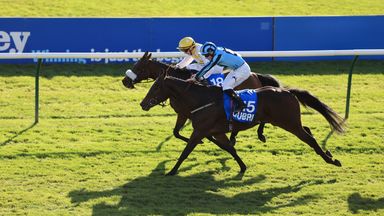 Alphonse Le Grande defeated Sea Lantern in the Cesarewitch