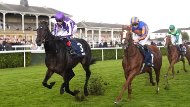 Hawk Mountain (left) won the 2025 Futurity