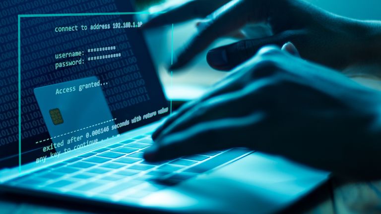 Data theft, website defacement or full system compromise could arise from the vulnerabilities. Pic: iStock