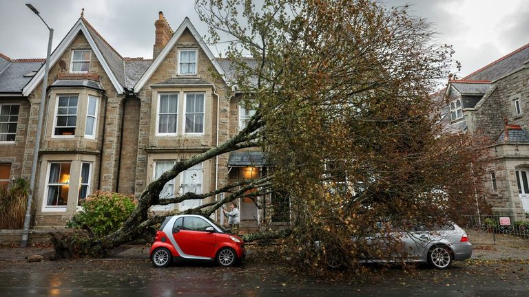 There are trees down on Alexandra Road, Penzance
Pic  Penzance Council 