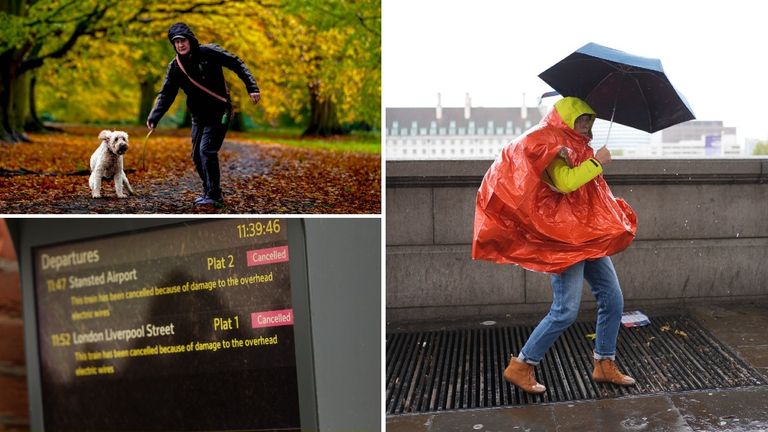 Travel chaos and windy conditions brought on by Storm Boelo. Pics: PA