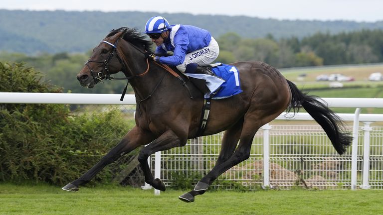 Veteran Al Aasy takes to the track at Ascot on Saturday