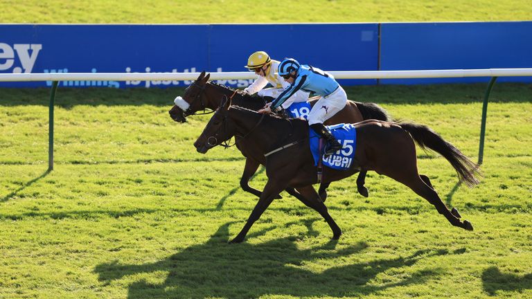 Alphonse Le Grande defeated Sea Lantern in the Cesarewitch