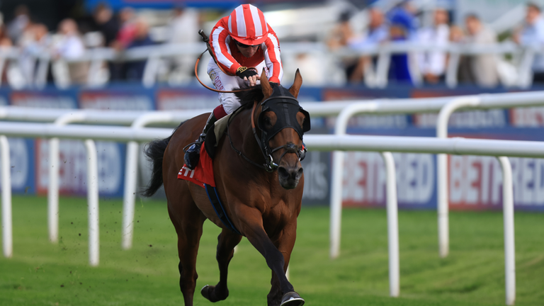 Caballo De Mar - back-to-back winner of the Prix du Cadran