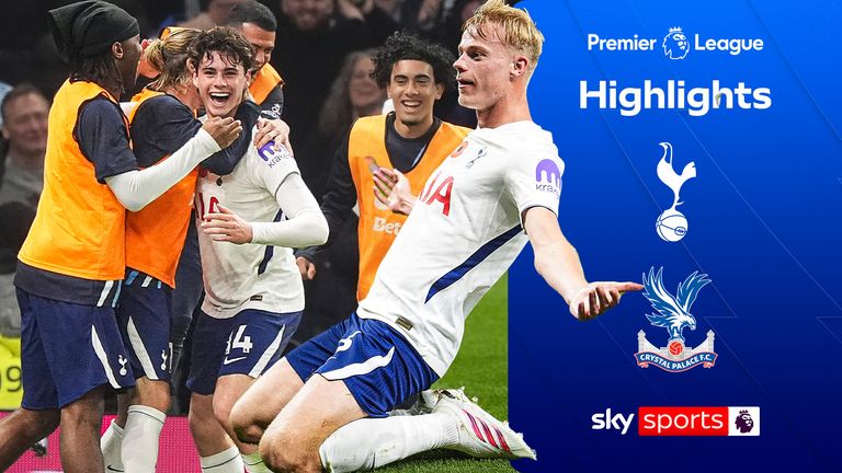 Premier League match between Tottenham Hotspur and Crystal Palace.