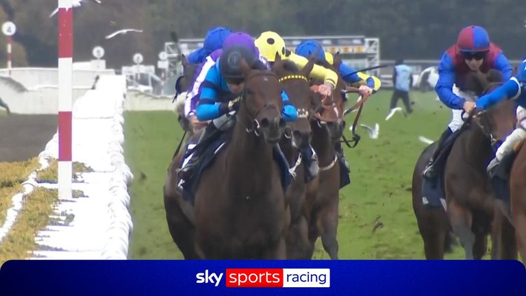 Giant Sequoia stakes Derby claim with success in the Futurity Trophy at Doncaster