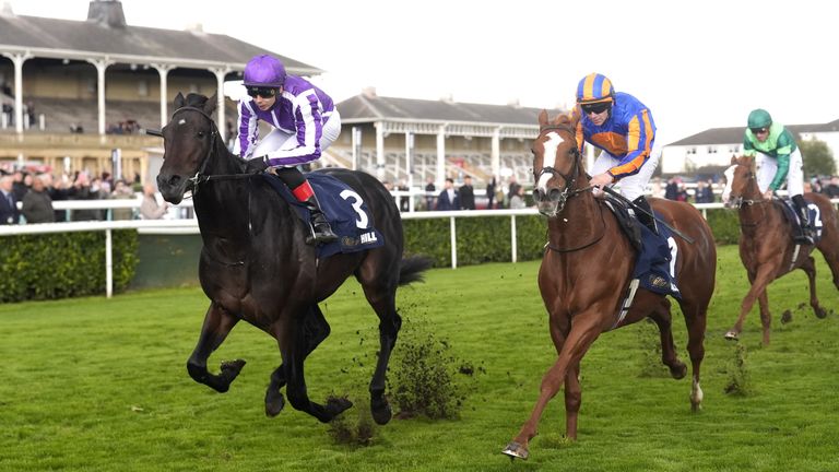 Hawk Mountain (left) won the 2025 Futurity