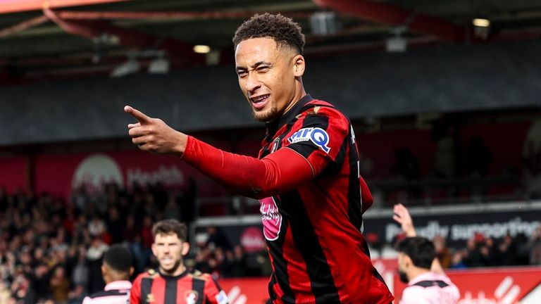 Marcus Tavernier celebrates after firing Bournemouth into an early lead against Sunderland