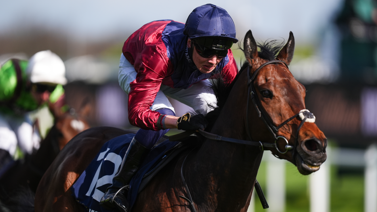 Mezcala returns to Ascot this weekend