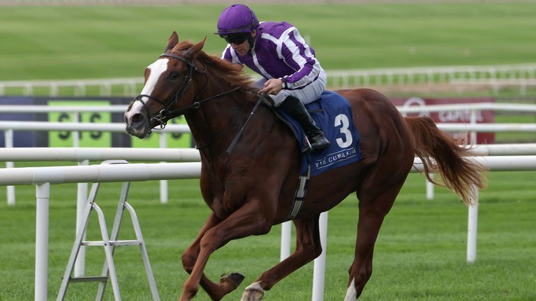 Noble Exhibit represents Ballydoyle