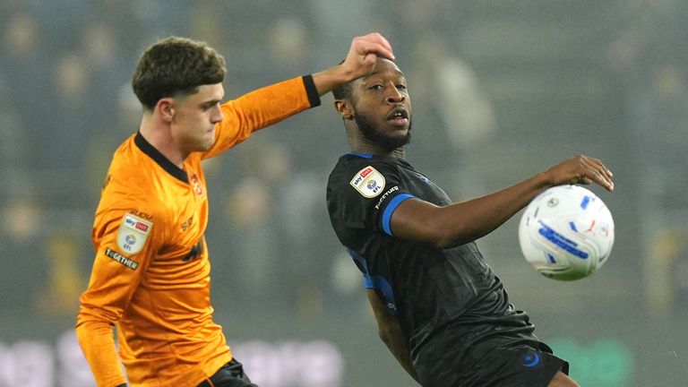 portsmouth wolves