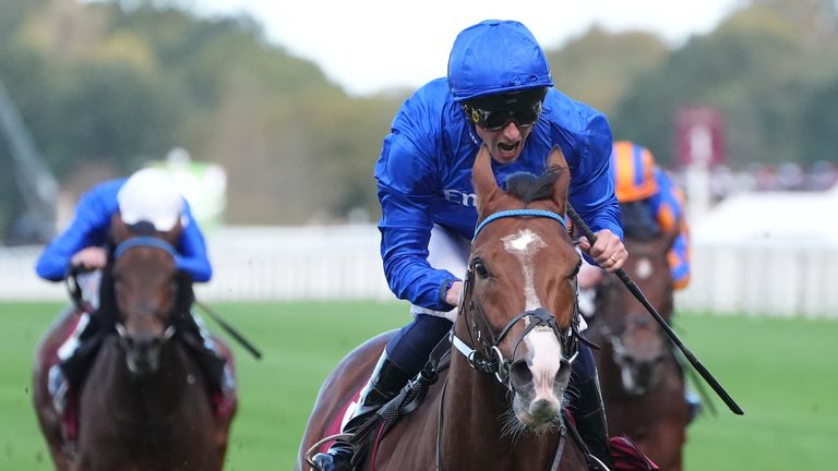 Ombudsman won the Champion Stakes