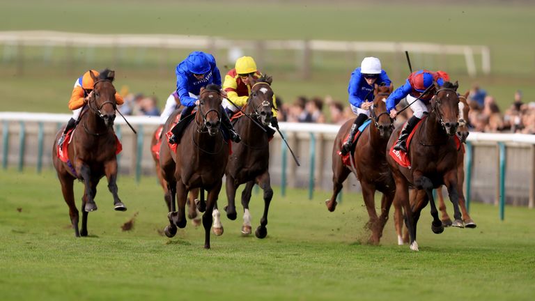 Rock Montreal (centre-left) won the Autumn Stakes for William Buick and Roger Varian