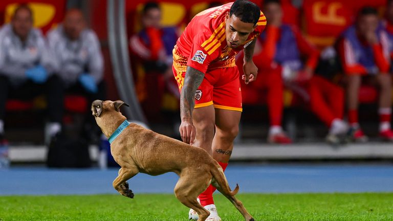 A dog ran onto the pitch during the first half in Skopje
