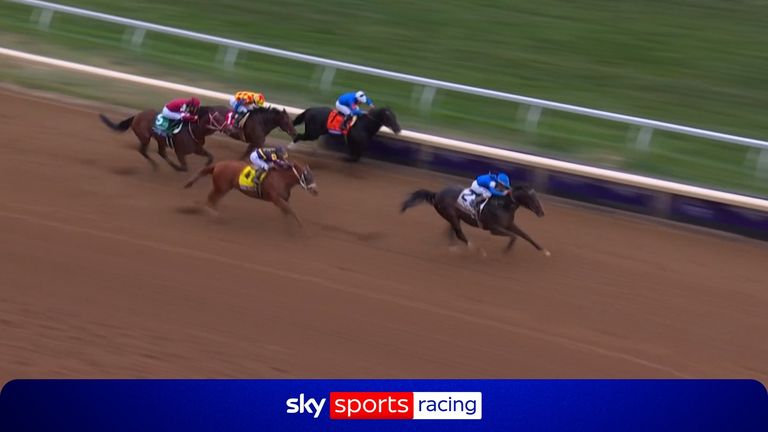 The 2025 Kentucky Derby Sovereignty delivered a knockout blow to land the Breeders' Cup Classic