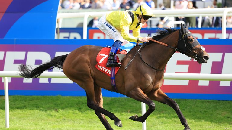 Waardah tasted success at Doncaster's St Leger meeting