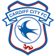 Cardiff badge
