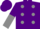 Silk - PURPLE, grey spots, purple & grey halved sleeves, purple cap