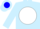 Silk - Light Blue, Light  Blue 'W' on White disc