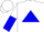 Silk - WHITE, Blue Triangle, White & Blue Halved Slvs