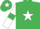 Silk - Emerald Green, White star, White sleeves, Emerald Green armlets, Emerald Green cap, White star