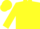 Silk - Fluorescent Yellow, Black 'A & E' on