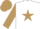 Silk - White, Light Brown star, sleeves and cap