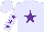 Silk - Lavender, Purple Star, Purple Stars on Sleeves