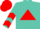 Silk - Turquoise, Red Triangle, Red Chevrons on Sleeves, Red Cap