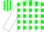 Silk - Green and White Blocks, White Stripes on Sleeves