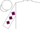 Silk - WHITE, Maroon Circled 'AC', Maroon Diamonds on Sleeves