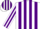 Silk - White, Purple Braces, Purple Stripes on