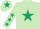 Silk - Light Green, Dark Green star, Light Green sleeves, Dark Green stars, Light Green cap, Dark Green star