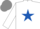Silk - WHITE, royal blue star, white sleeves, grey cap