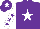 Silk - PURPLE, white star, white sleeves, purple stars, purple cap, white star