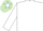 Silk - White, green emblem, light green cap, white star