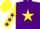Silk - Purple, Yellow star, Yellow sleeves, Purple stars, Yellow cap