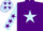 Silk - Purple, Light Blue star, Light Blue sleeves, Purple stars and stars on cap