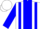 Silk - WHITE, blue panel, blue stripes on sleeves, white cap