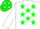 Silk - White, green 'P', green stars on white sleeves, white c