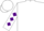 Silk - White, purple 'P', purple diamonds on sleeves, white cap