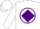 Silk - White, purple diamond band on front, purple circle 'G' on back, purple diamo