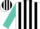 Silk - White, black seam on front, black stripes on turquoise sleeves, b