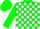 Silk - Green, white blocks on front, green cuffs o