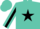 Silk - TURQUOISE, black star, black star stripe on sleeves, tu